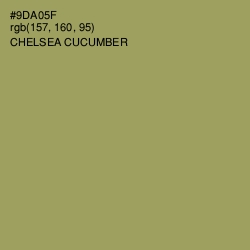 #9DA05F - Chelsea Cucumber Color Image